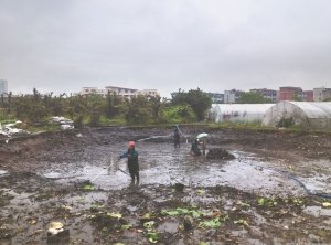 曲沃河道鱼塘清淤